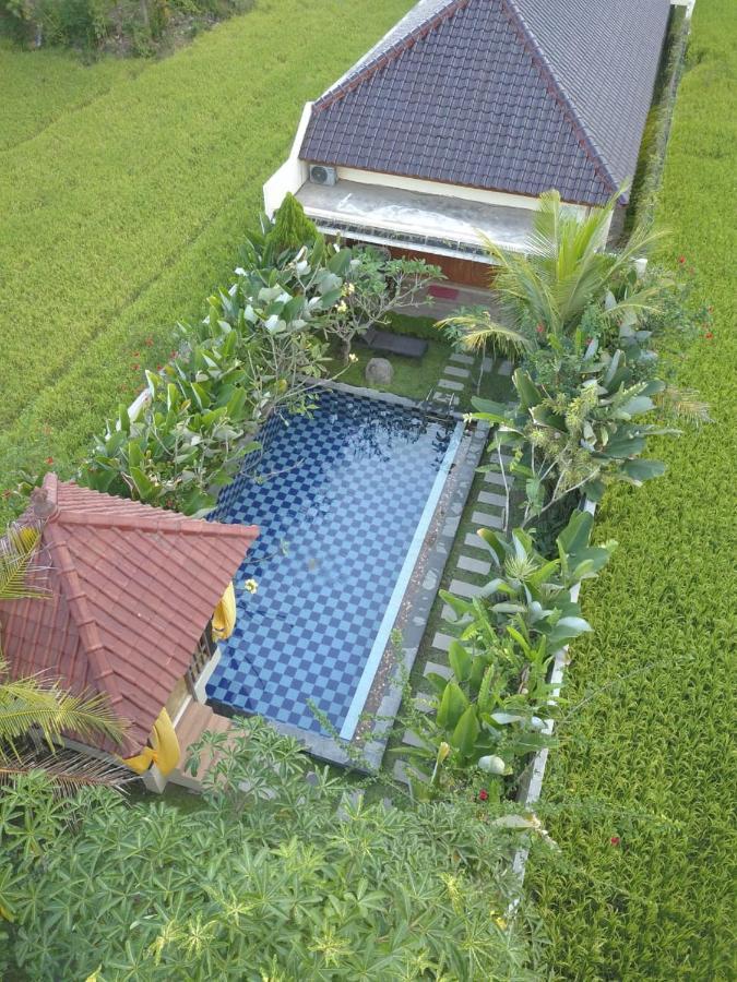 Rosseno Villa Jogyakarta Zewnętrze zdjęcie