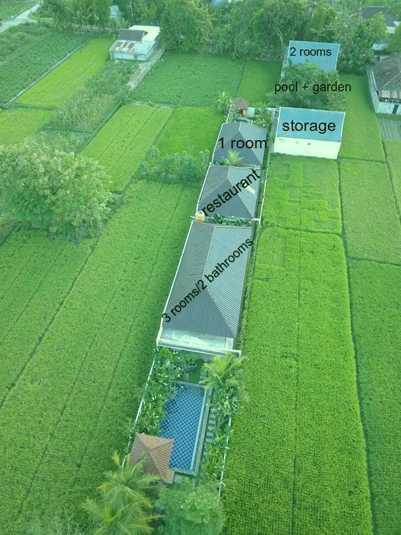 Rosseno Villa Jogyakarta Zewnętrze zdjęcie